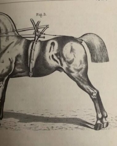 Spanischer Reiter