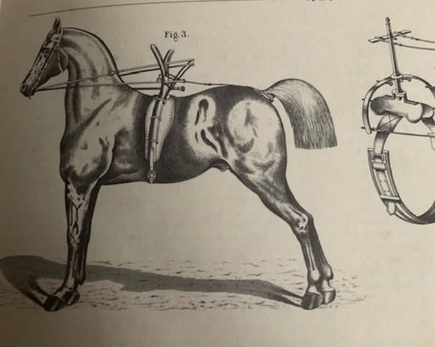 Spanischer Reiter