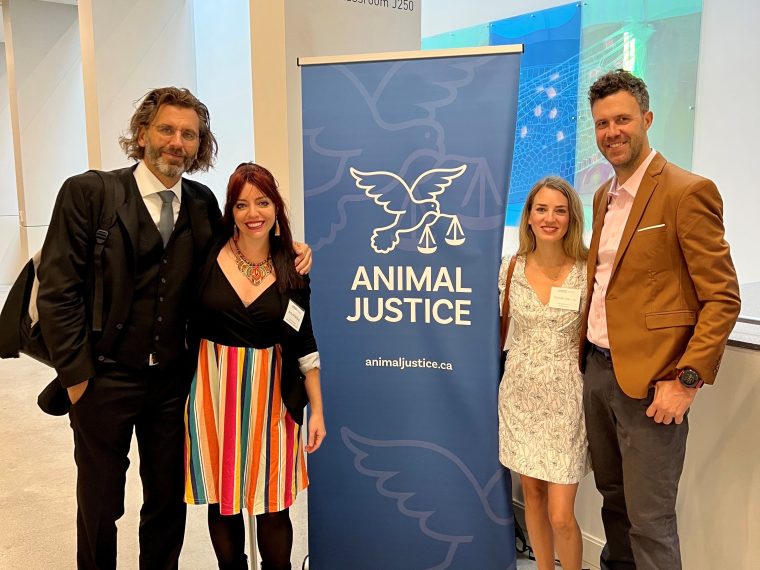 TIR referiert an der Canadian Animal Law Conference in Toronto