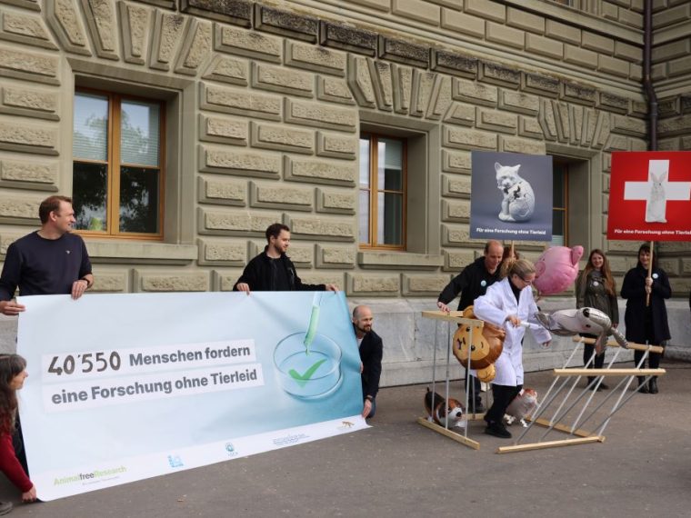 Petitionsübergabe in Bern: 
