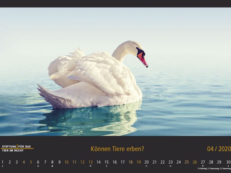TIR-Kalender 2020 - Tierschutzrechtliche Frage im April