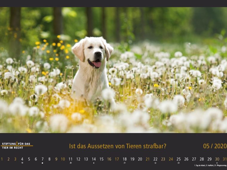TIR-Kalender 2020 - Tierschutzrechtliche Frage im Mai
