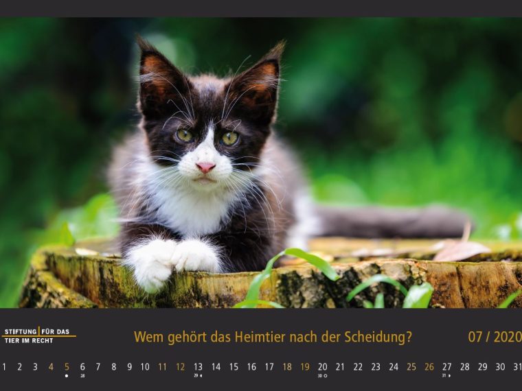 TIR-Kalender 2020 - Tierschutzrechtliche Frage im Juli