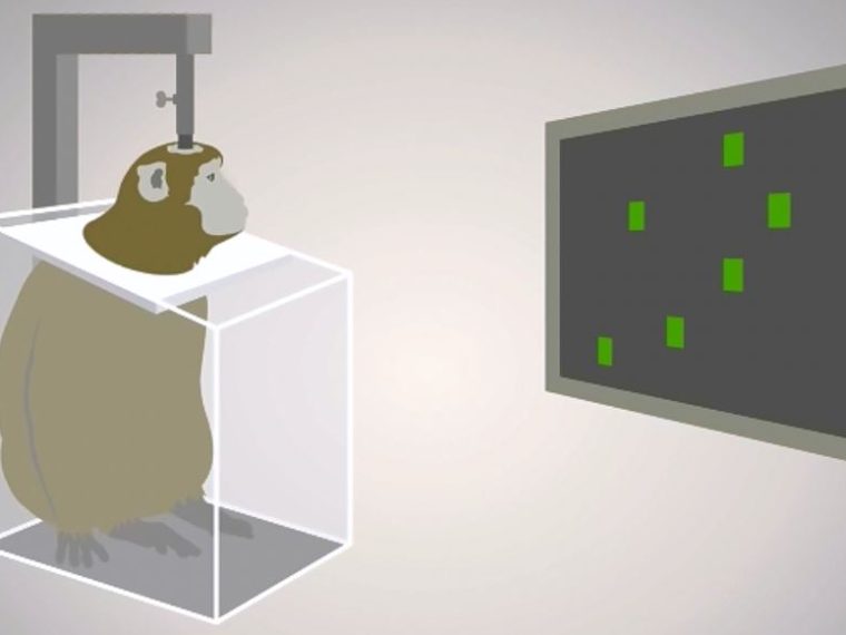 Wichtiger Beitrag zum Thema 