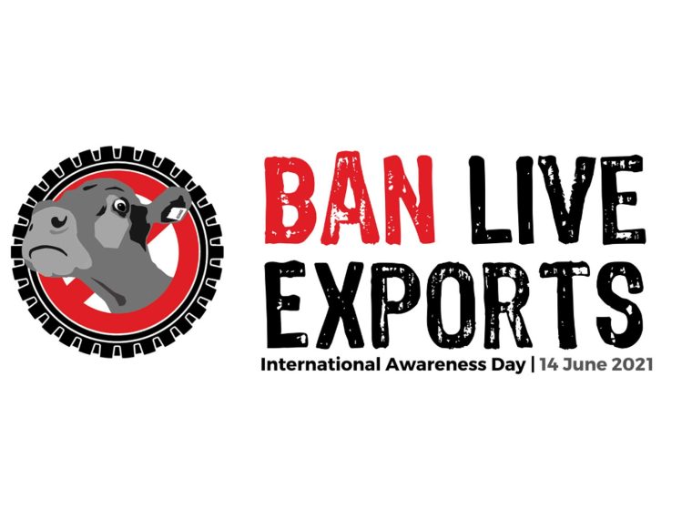 TIR unterstützt Aktion 