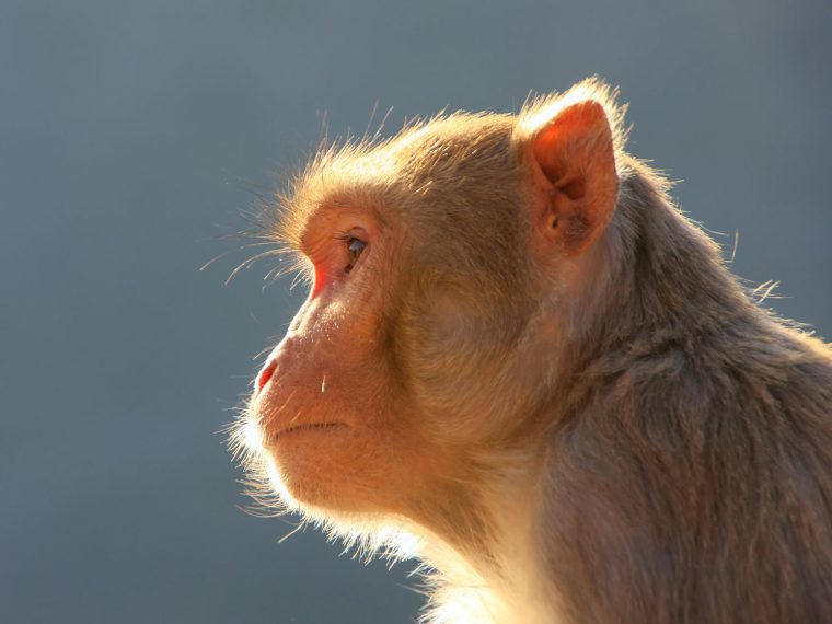 NO POST TITLE WAS SET