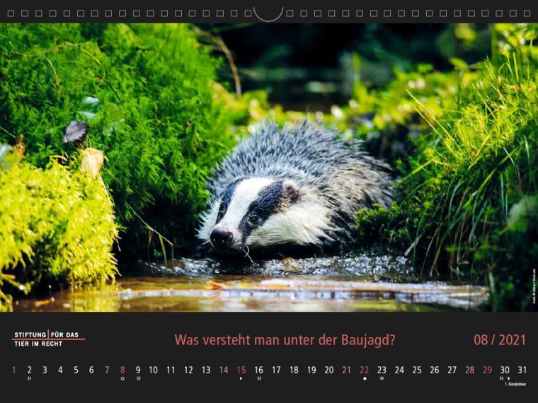 TIR-Kalender 2021 - Tierschutzrechtliche Frage im August