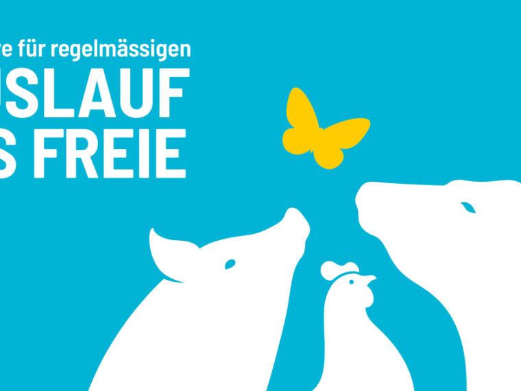 Neue Volksinitiative will Nutztiere ins Freie bringen - TIR freut sich, eine der Trägerorganisationen zu sein