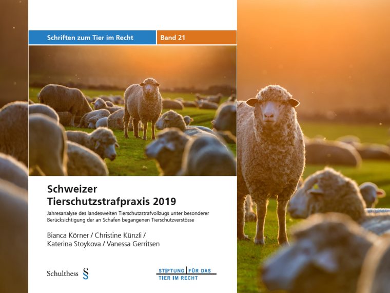 Band 21 der TIR-Schriftenreihe erschienen: 