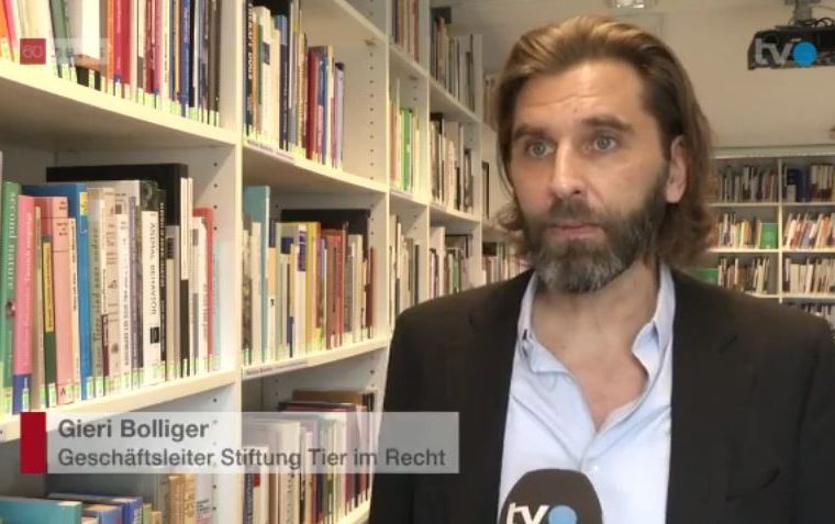 Keine Strafuntersuchung gegen Zirkus Royal - TIR schwer enttäuscht über skandalöse Entscheidung