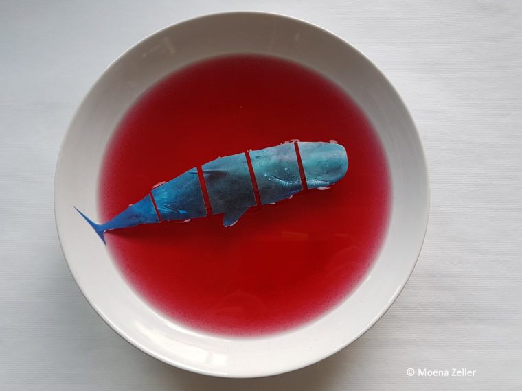 Newsletter TIR-Bibliothek: TIR präsentiert Lesetipp des Monats