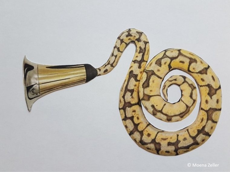 Newsletter TIR-Bibliothek: TIR präsentiert Lesetipp des Monats