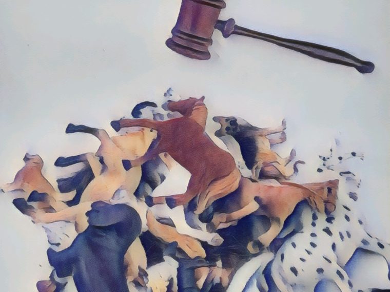 Newsletter TIR-Bibliothek: TIR präsentiert den Lesetipp