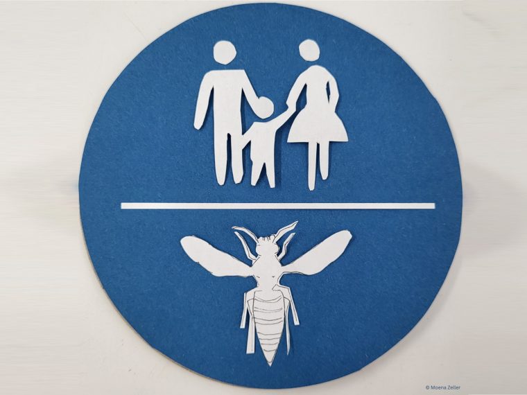 Newsletter TIR-Bibliothek: TIR präsentiert den Lesetipp