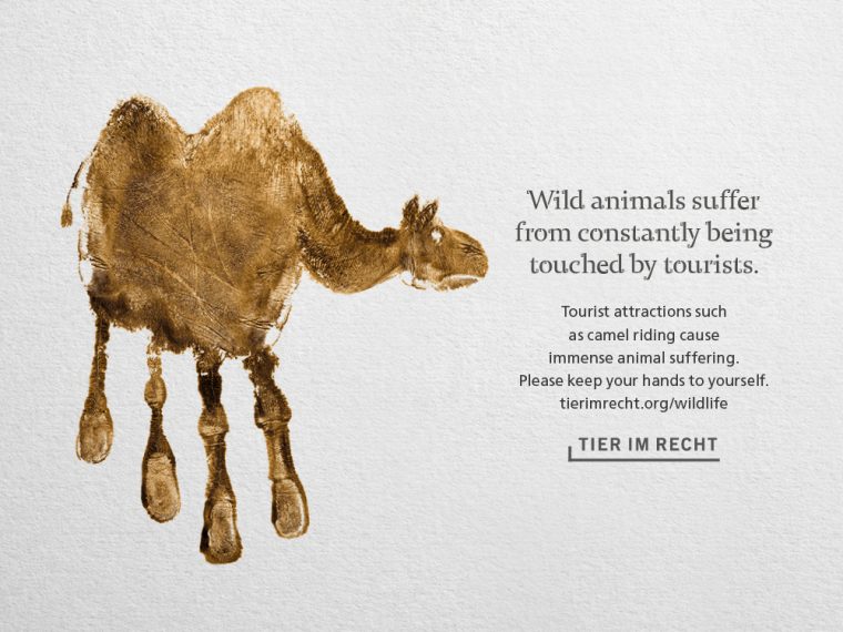 Hands off wildlife attractions! - TIR launches new campaign to raise awareness on wildlife tourism