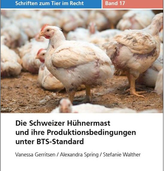 TIR wirft kritischen Blick auf die Schweizer Hühnermast