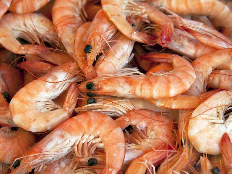 TIR unterstützt Petition zur Ausweitung des Anwendungsbereichs des Tierschutzrechts auf Crevetten