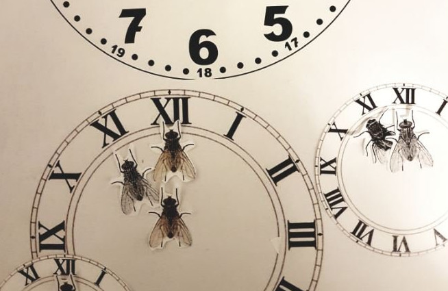 Newsletter TIR-Bibliothek: TIR präsentiert Lesetipp des Monats