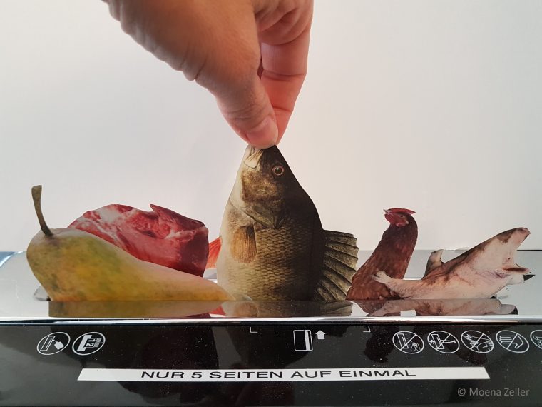 Newsletter TIR-Bibliothek: TIR präsentiert Lesetipp 