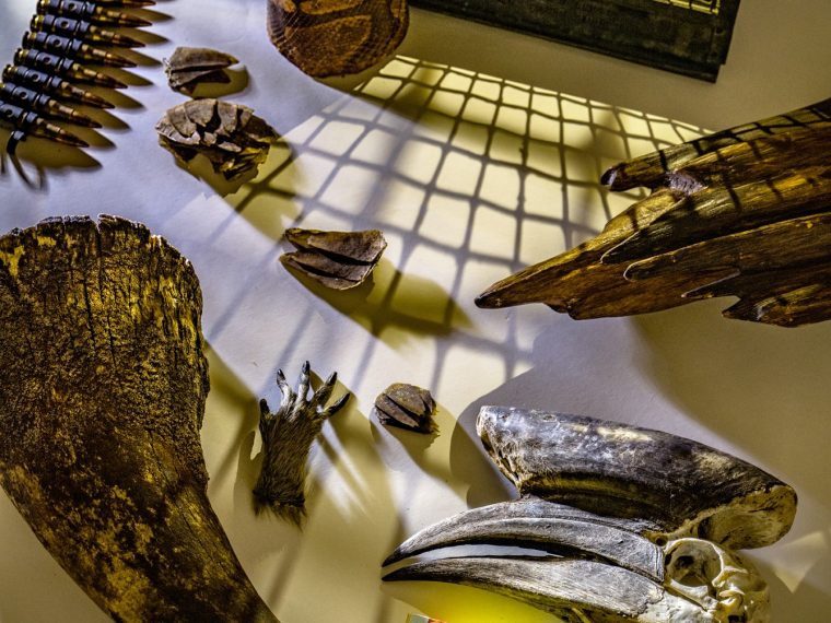 Newsletter TIR-Bibliothek: TIR präsentiert den Lesetipp