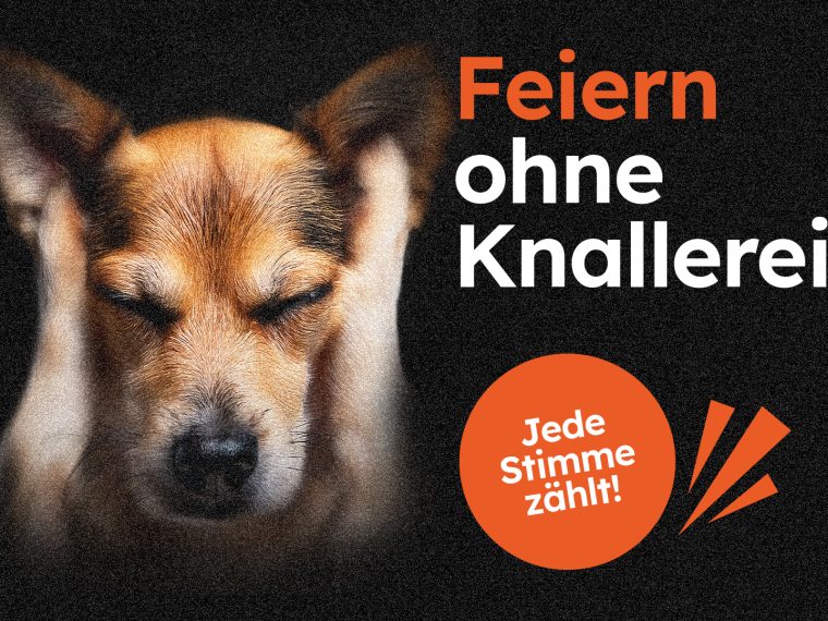 FWI: Vernehmlassung läuft - jetzt mitmachen!