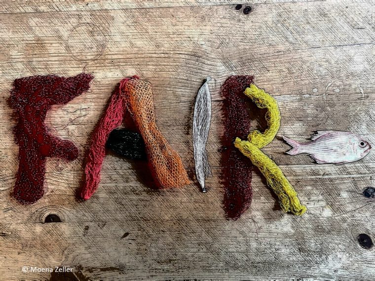 Newsletter TIR-Bibliothek: TIR präsentiert Lesetipp des Monats