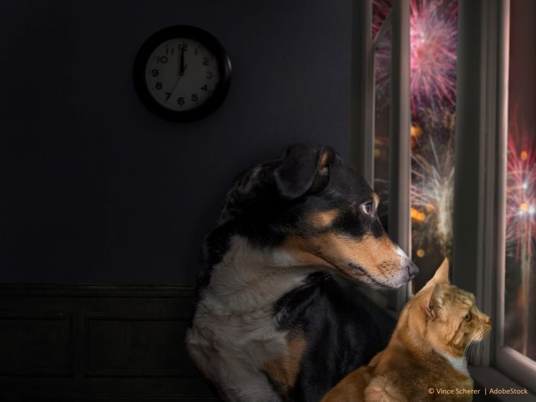 TIR bittet um Rücksichtnahme auf die Tiere am 1. August