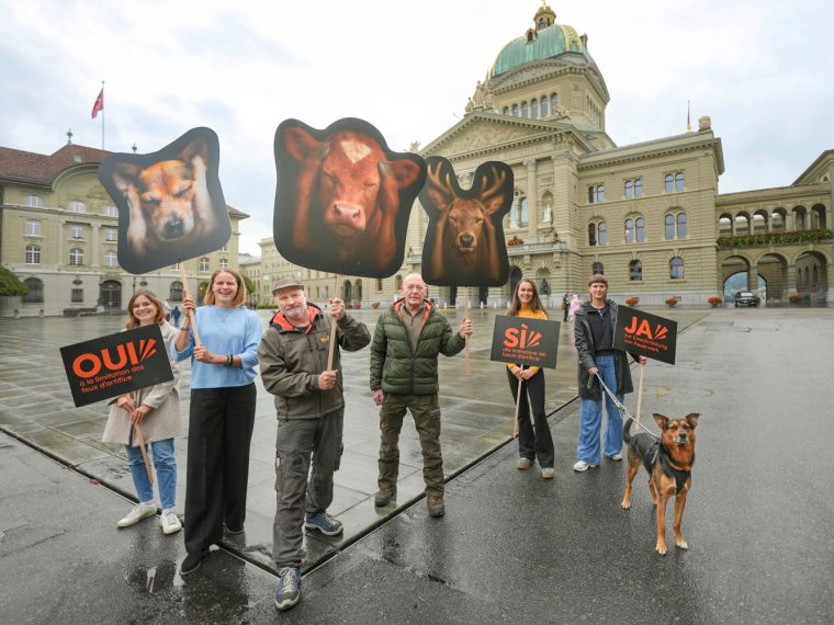 FWI: Über 40'000 Menschen unterschreiben Vernehmlassung