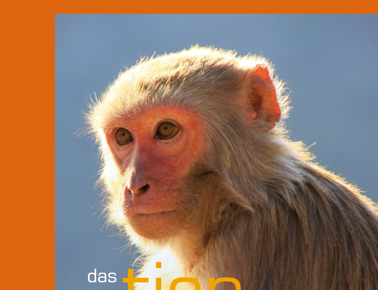 Neuer TIR-Flyer: TIR fordert Verbot von Tierversuchen an Primaten