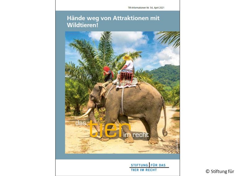 Neuer TIR-Flyer: Hände weg von Attraktionen mit Wildtieren!