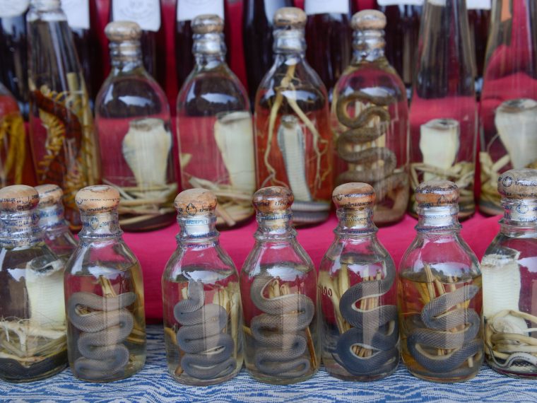 Tierschutz auf Reisen Teil 2 - Problematische Feriensouvenirs und vermeintliche Delikatessen