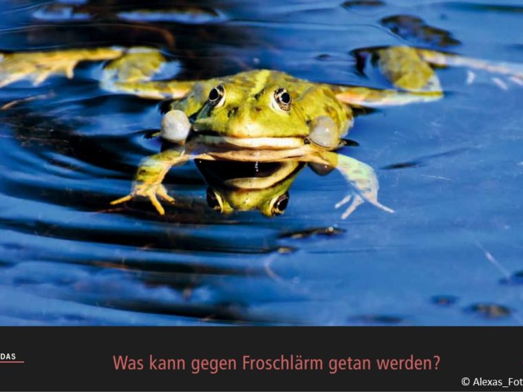 TIR-Kalender 2021 - Tierschutzrechtliche Frage im Mai