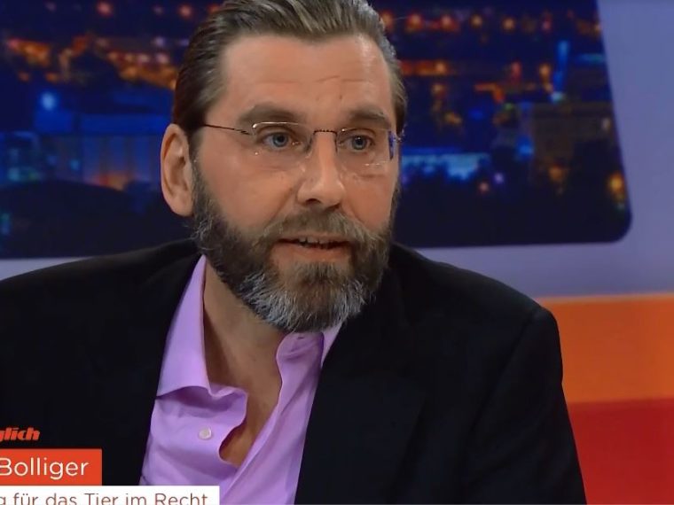 Zoophilie-Fall im Kanton Aargau - TIR-Geschäftsleiter Dr. Gieri Bolliger in der Sendung TalkTäglich auf Tele M1