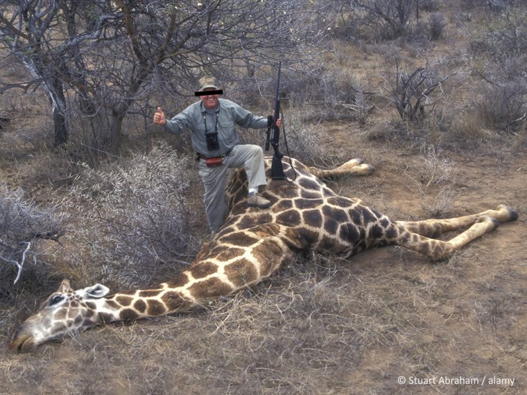 TIR bittet um Mithilfe: Stoppen wir gemeinsam die Einfuhr von Jagdtrophäen!