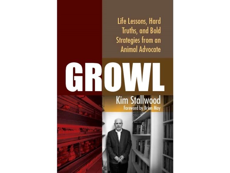 Newsletter TIR-Bibliothek: TIR präsentiert Lesetipp des Monats