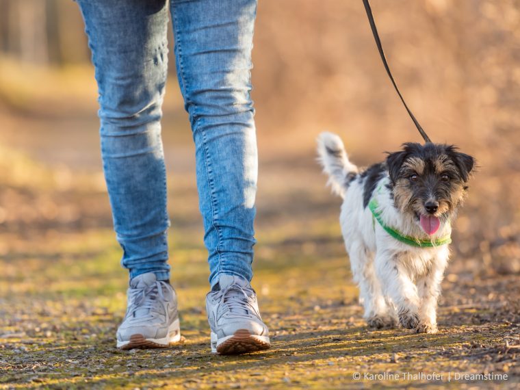 Leinenpflichten während der Setz- und Brutzeit