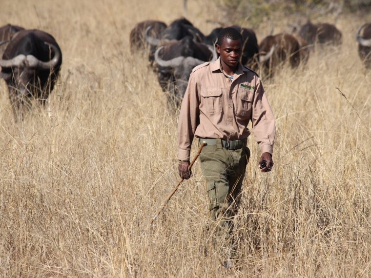 TIR freut sich über Erfolg von Rangern in Simbabwe