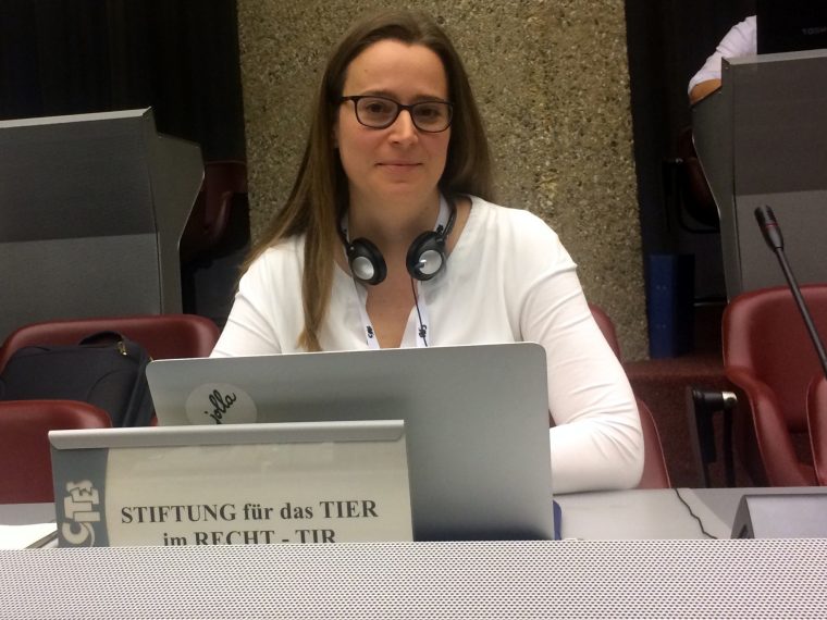 TIR an der Sitzung des Ständigen CITES-Ausschusses in Genf