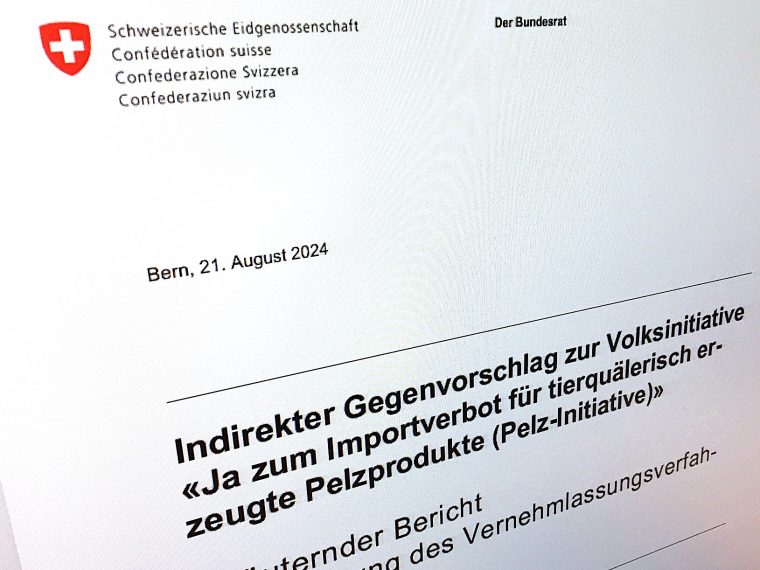 Vernehmlassung zu Pelzimportverbot - TIR, weitere Tierschutzorganisationen und Initiativkomitee reichen gemeinsame Stellungnahme ein