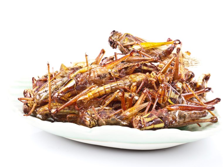 Revision der Verordnungen zum Lebensmittelrecht (Projekt Largo) - TIR reicht Stellungnahme ein