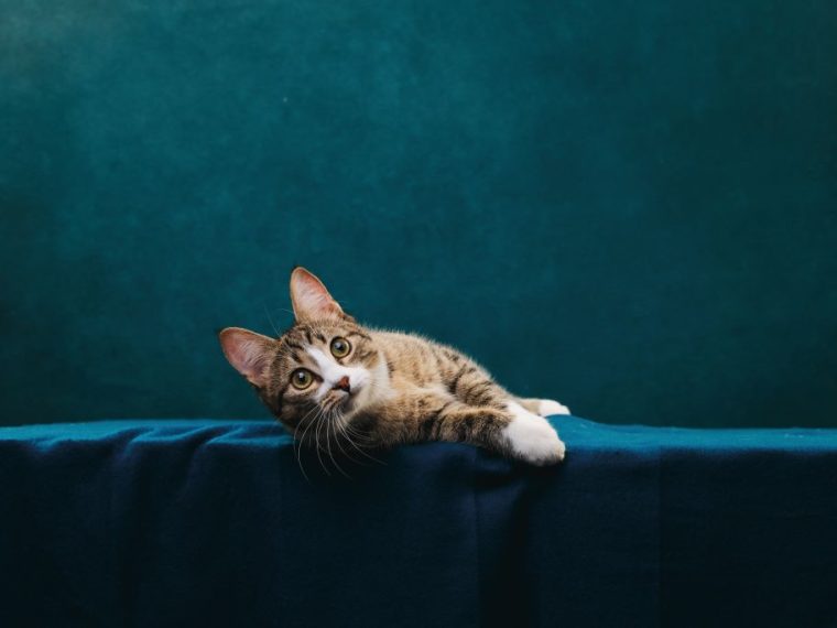 TIR-Jahresbericht 2023 - jetzt bestellen!