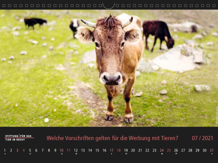 TIR-Kalender 2021 - Tierschutzrechtliche Frage im Juli