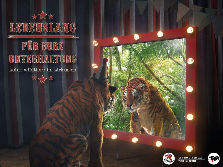 TIR und Partner lancieren neue Kampagne 