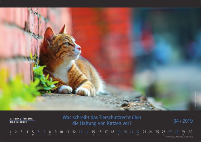 TIR-Kalender 2019 - Tierschutzrechtliche Frage im April