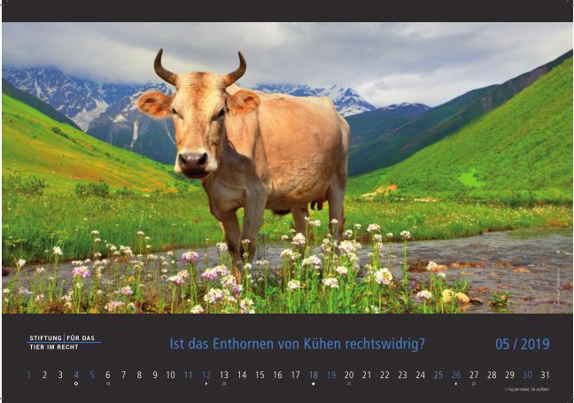 TIR-Kalender 2019 - Tierschutzrechtliche Frage im Mai