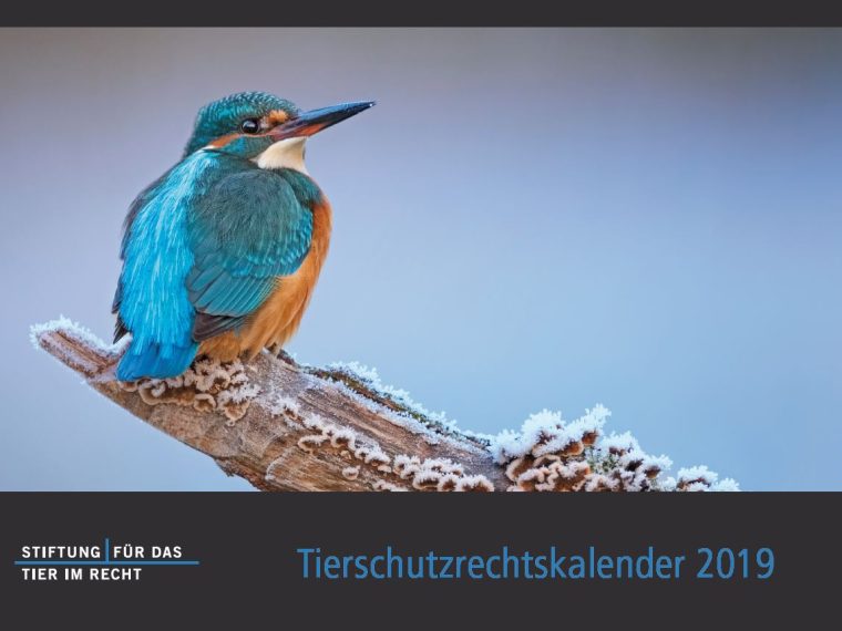 Tierschutzrechtskalender 2019 ab jetzt im TIR-Shop erhältlich