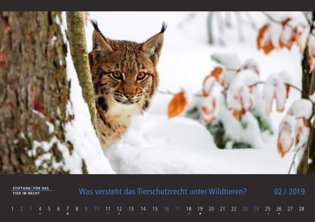 TIR-Kalender 2019 - Tierschutzrechtliche Frage im Februar