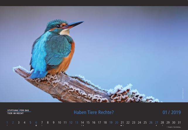 TIR-Kalender 2019 - Tierschutzrechtliche Frage im Januar