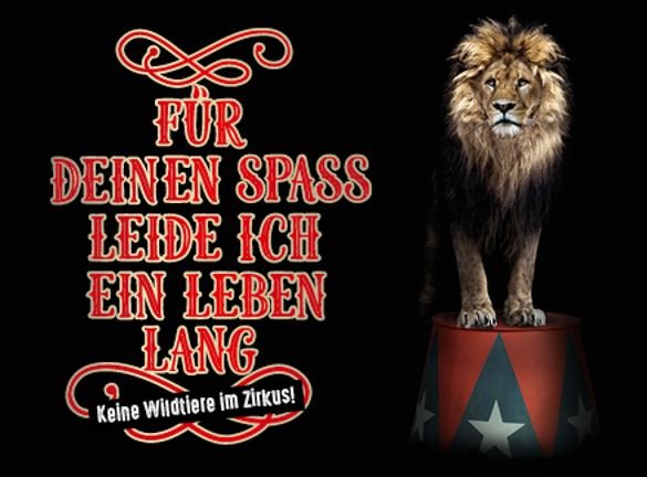 TIR enttäuscht über Antwort des BLV zur Petitionseinreichung 