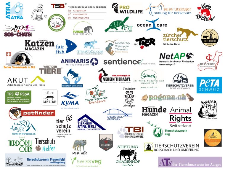 Update zur TIR-Kampagne betreffend Verbot der Einfuhr von Jagdtrophäen